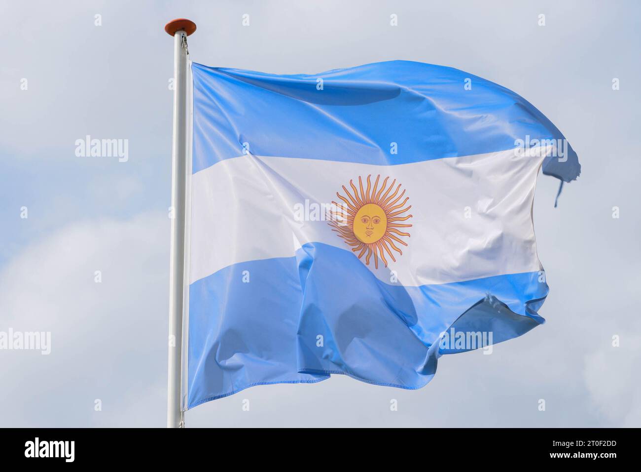 Die Flagge Argentiniens winkt im Wind Stockfoto