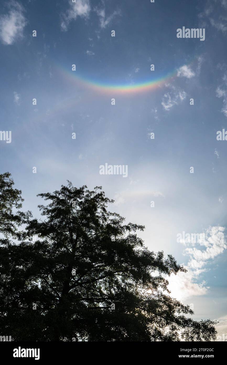 Farbenfroher umgekehrter Regenbogen hoch oben am Himmel. Optisches Phänomen als Circumzenithalbogen. Stockfoto