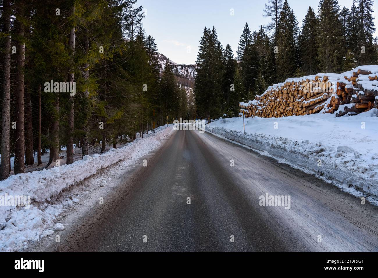 Gerade Strecke einer eisigen Bergstraße, die im Winter bei Dämmerung durch einen verschneiten Wald führt Stockfoto