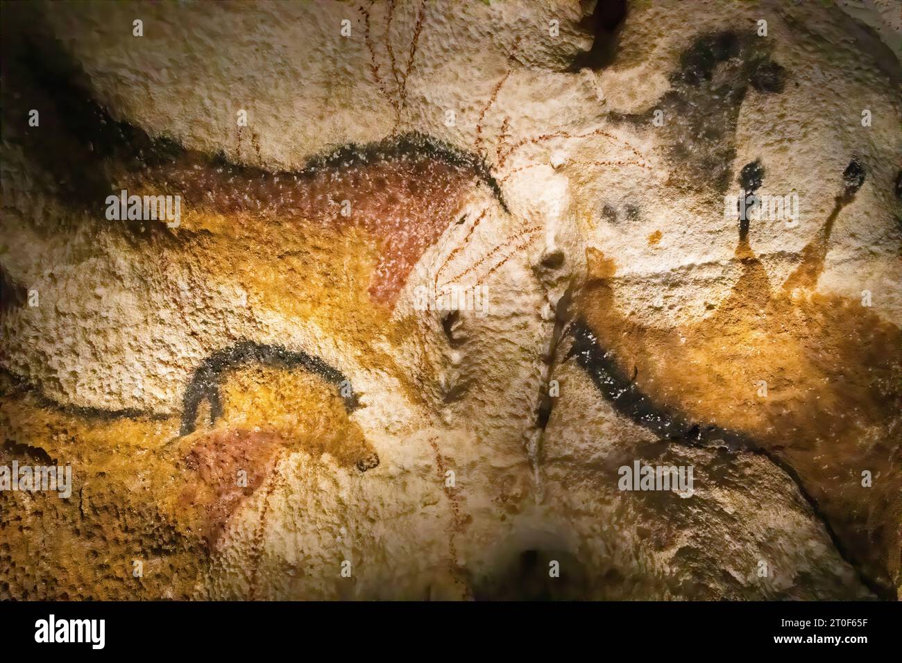 Prähistorische Darstellungen in Lascaux-Höhlen Stockfoto