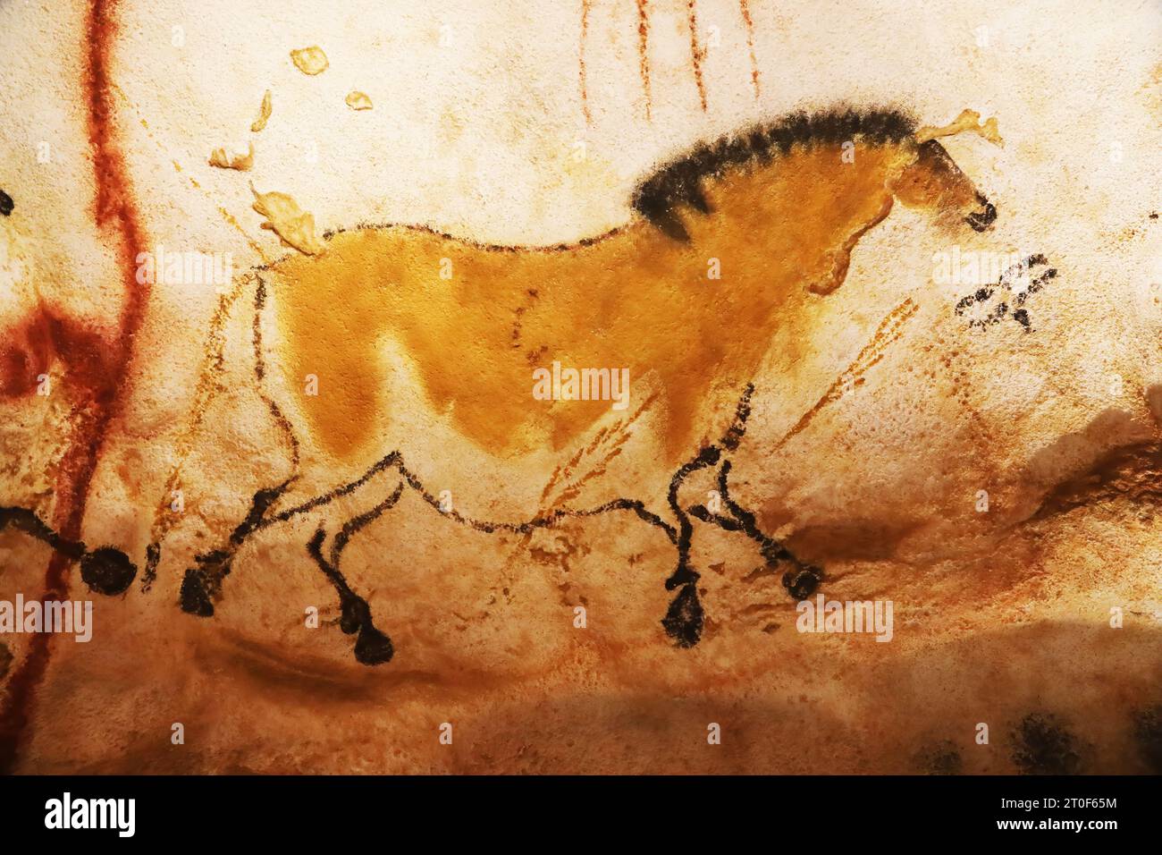 Prähistorisches Pferd in Lascaux-Höhlen dargestellt Stockfoto