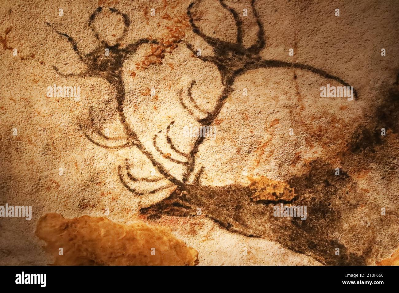 Prähistorischer Hirsch in Lascaux-Höhlen dargestellt Stockfoto