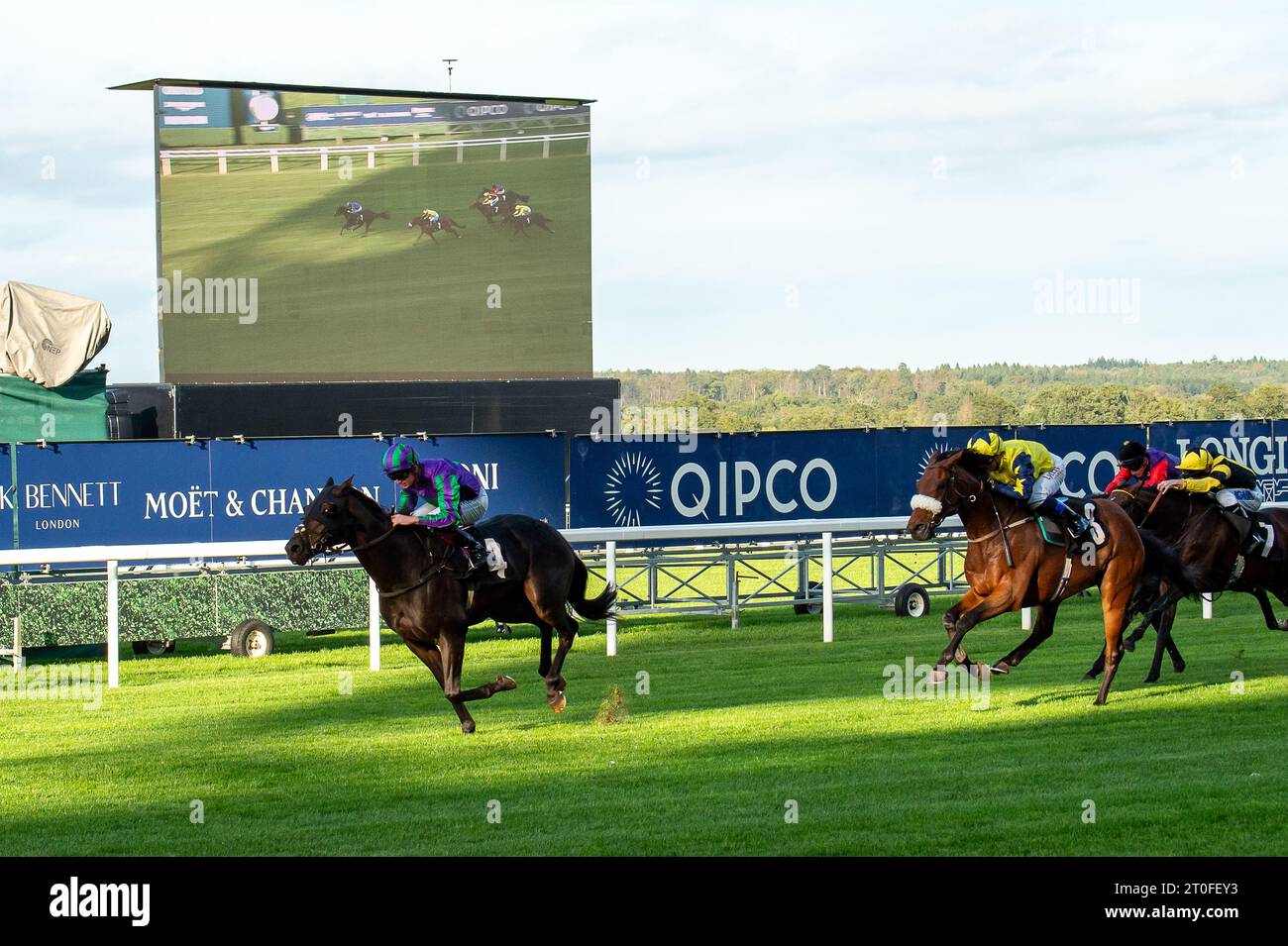 Ascot, Berkshire, Großbritannien. Oktober 2023. Horse Oceanline (Nr. 4), geritten von Jockey Rob Hornby, gewinnt die Inline Policy Ltd 10th Anniversary Handicap Stakes auf der Ascot Racecourse beim Herbstrennen Friday Meeting. Die Besitzerin Mrs. R White, M Lambert und B Wright. Trainer David Pipe, Wellington. Züchter M Phelan. Sponsoren für W & S Recycling. Quelle: Maureen McLean/Alamy Live News Stockfoto