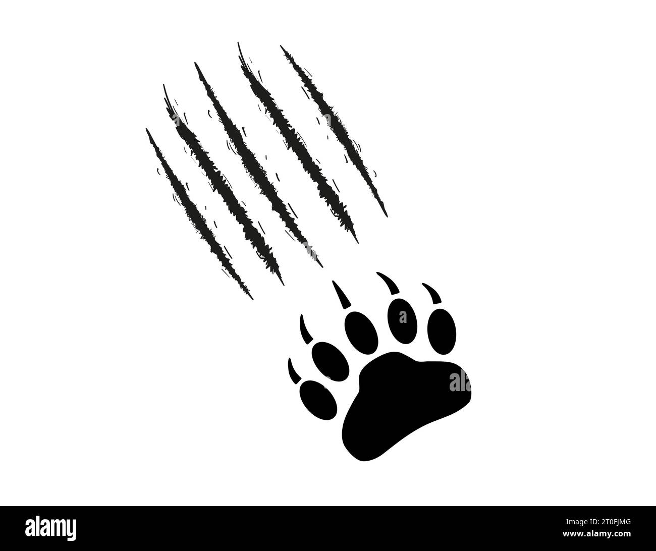 Bär- oder Grizzly-Paw-Aufdruck mit Kratzern. Klauenspuren, Schnitte, Wunden. Schwarze Silhouette auf weißem Hintergrund. Monster, Raubtier. Wildtierpfote mit Klaue Stock Vektor