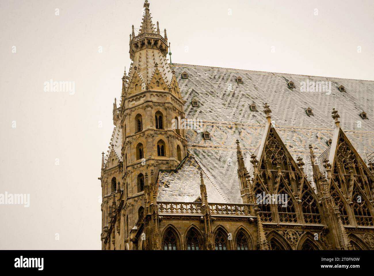 Gotische Trazerie und Pinials und romanische Türme von St. Stephens in Wien, Österreich. Stockfoto