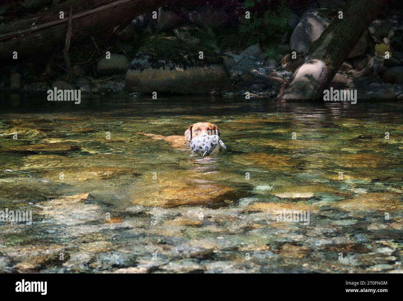 North Vancouver, BC, Kanada Stockfoto