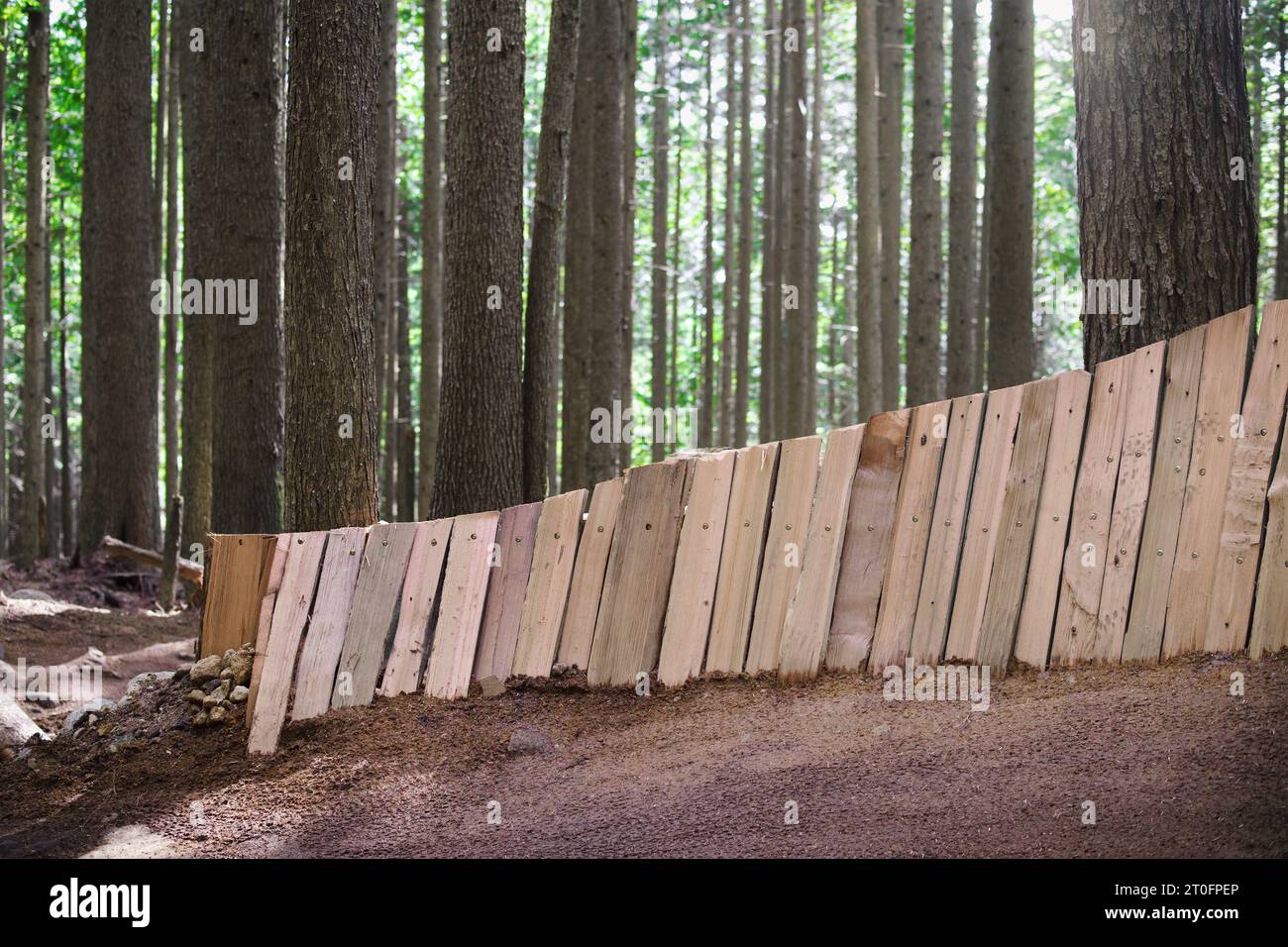 Waldradweg im Sommer mit Holzwanderwegen. Geschwungener Holzsteg mit bermückter Ecke. BC Regenwald mit hohen Bäumen und üppigem Foli Stockfoto