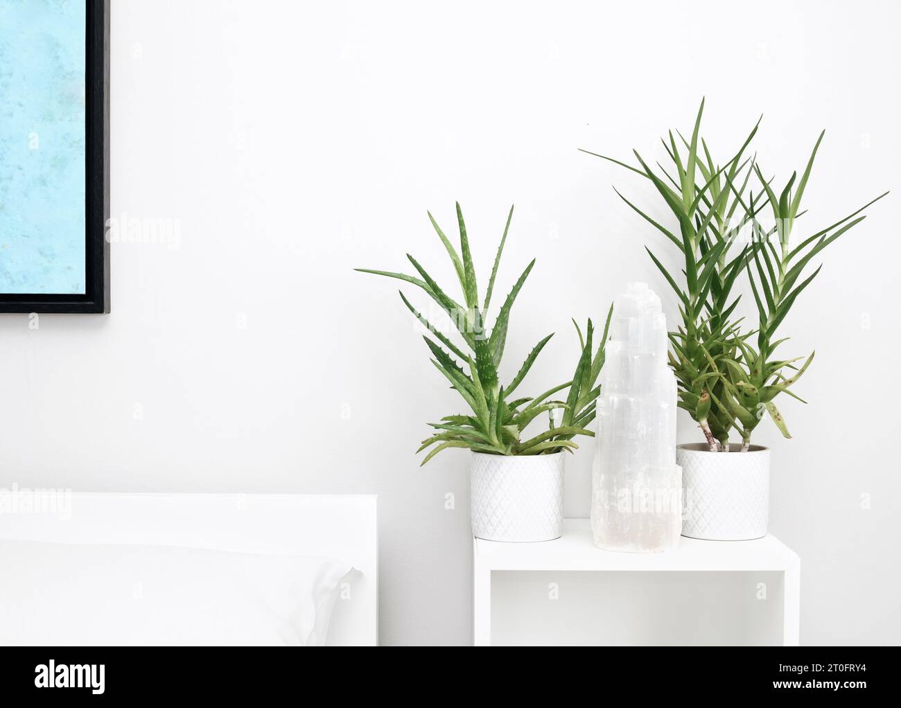 Selenit-Kristall mit Aloe-Vera-Pflanzen in modernem Schlafzimmer. Friedlicher und beruhigender Hintergrund für Spiritualität, Heilung und Chakren. Selektiver lichtwellenleiter Stockfoto