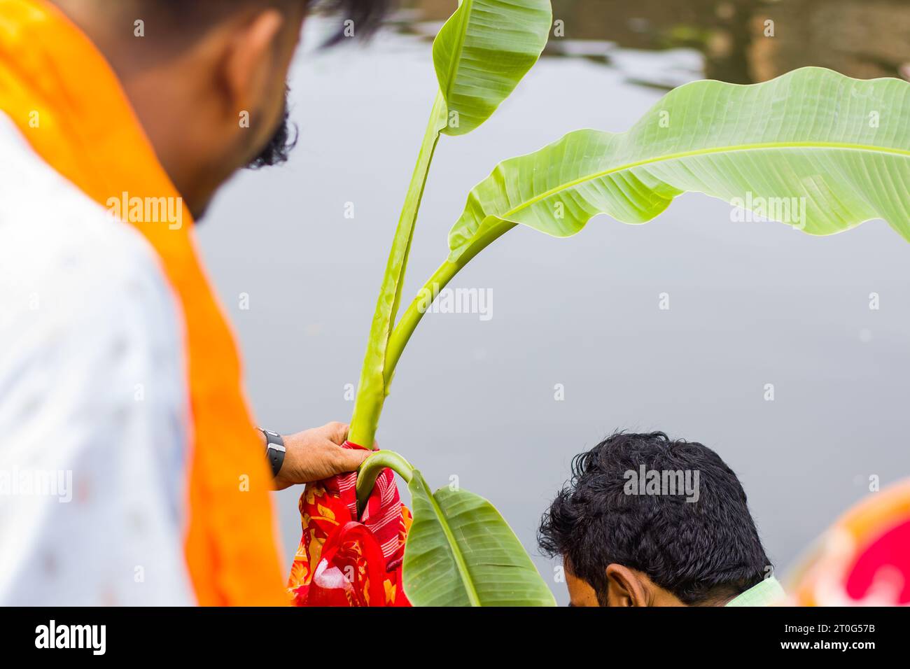 Durga-Puja-Ritual beim Baden der Bananenpflanze. Dieser Ritus heißt Kolabou Snan in Bengali. Der Hindupriester taucht die grünen Blätter in das Wasser des Flusses o Stockfoto