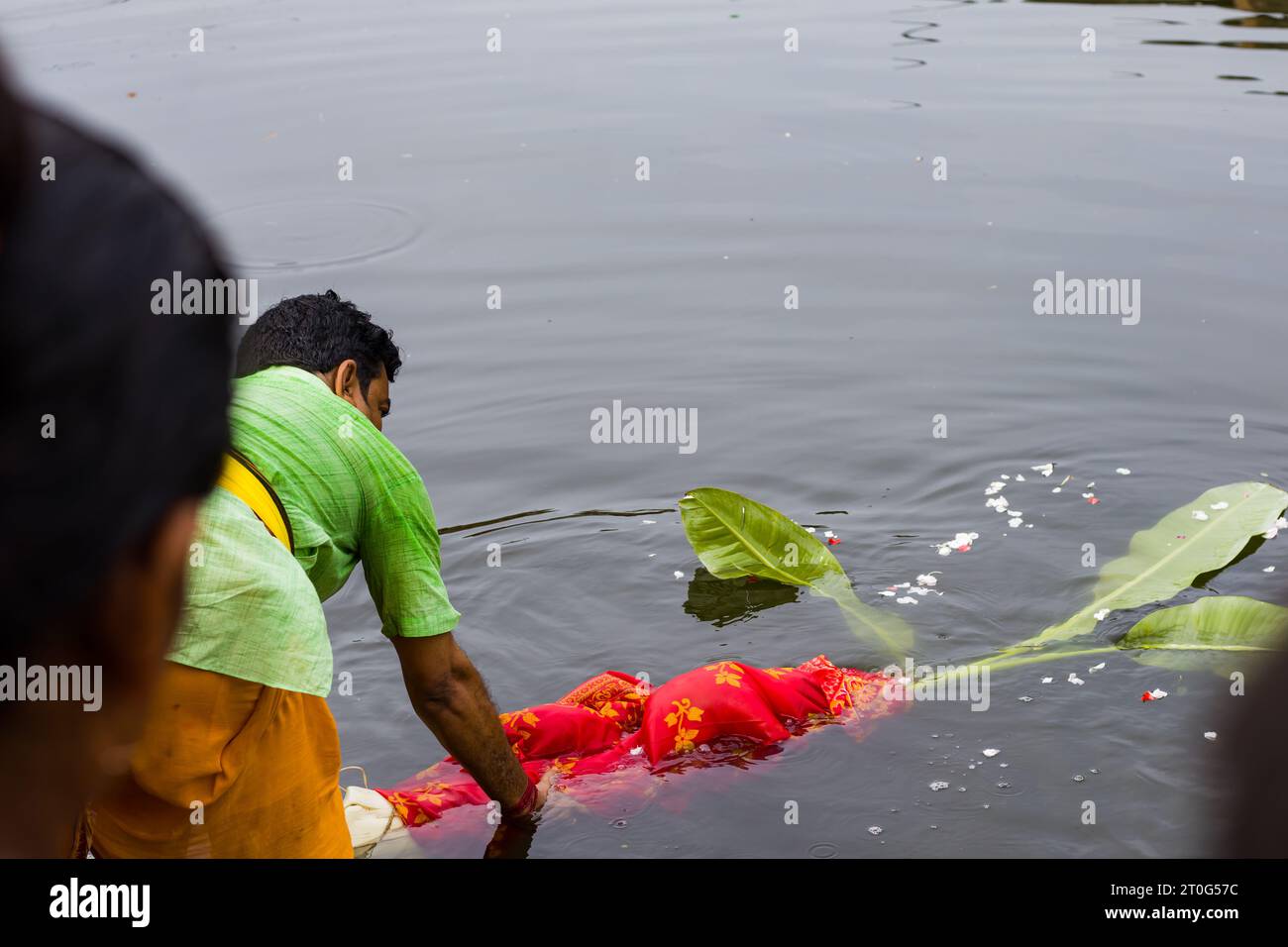 Durga-Puja-Ritual beim Baden der Bananenpflanze. Dieser Ritus heißt Kolabou Snan in Bengali. Der Hindupriester taucht die grünen Blätter in das Wasser des Flusses o Stockfoto