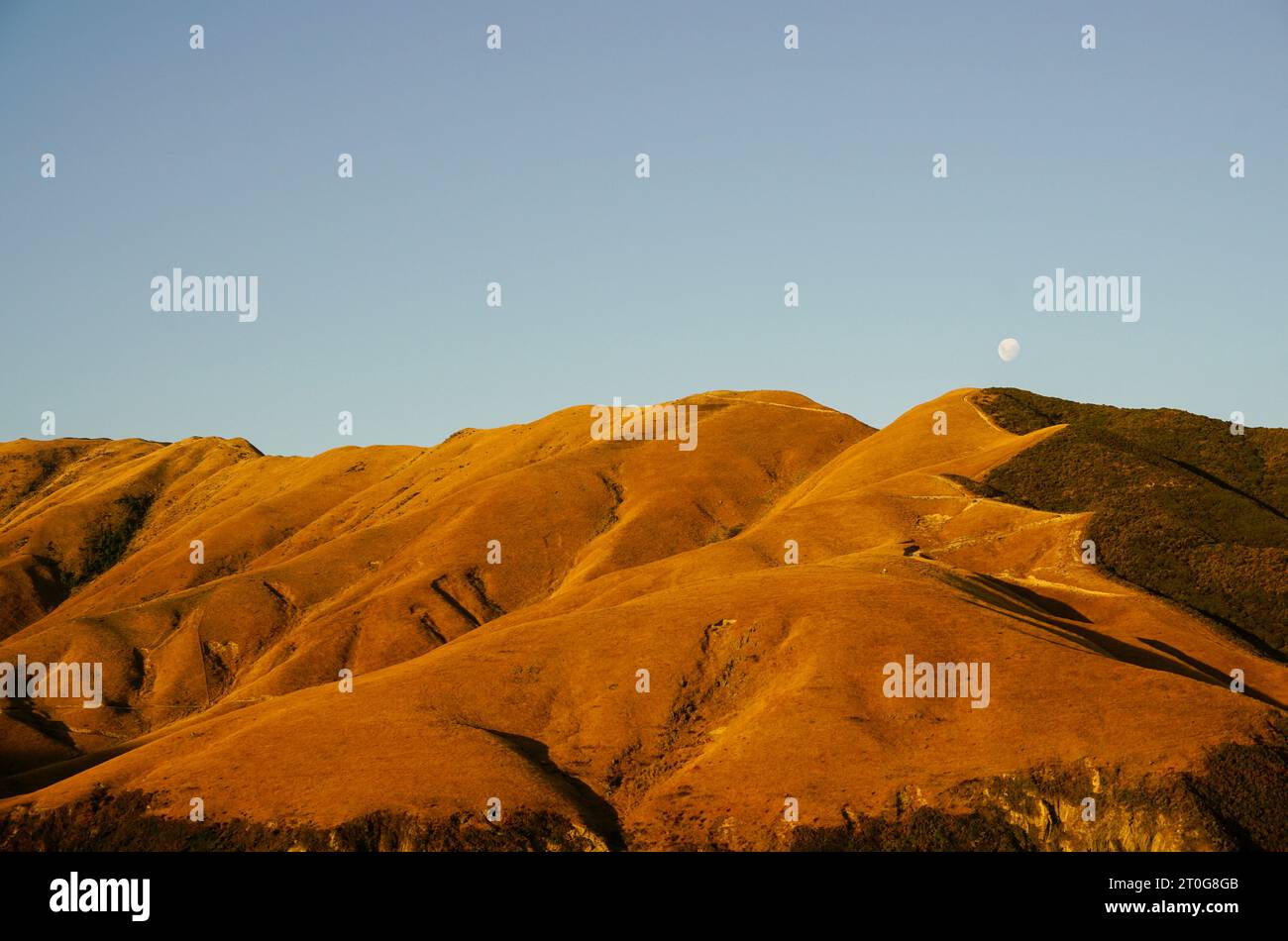 Dry Farmland Hills at Sunset, Neuseeland Stockfoto