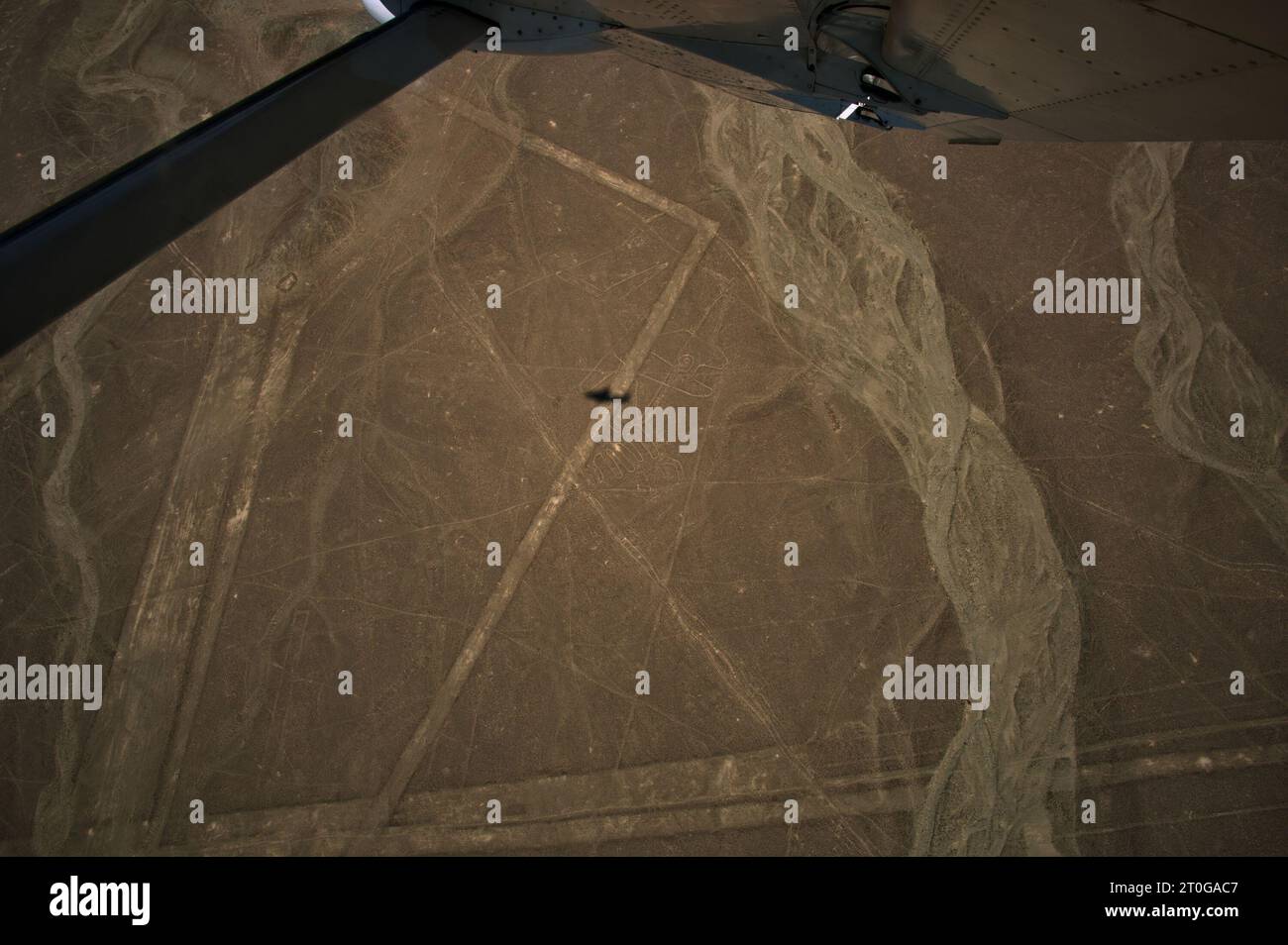 Luftaufnahme der Wal-Geoglyphe an den Nazca-Linien in Peru - Planschatten Stockfoto