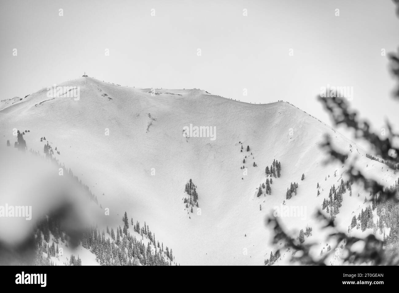 Schneebedeckte Bergsteiger in Colorado Stockfoto