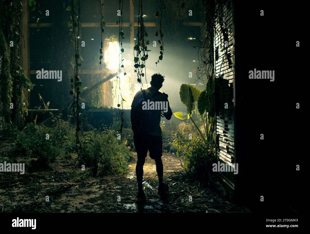 WILLIAM JACKSON HARPER IN THE RESORT (2022), REGIE FÜHRTE ARIEL KLEIMAN, BEN SINCLAIR, DANIEL GARCIA UND RANIA ATTIEH. Beschreibung: Universal Content Productions / Album Stockfoto