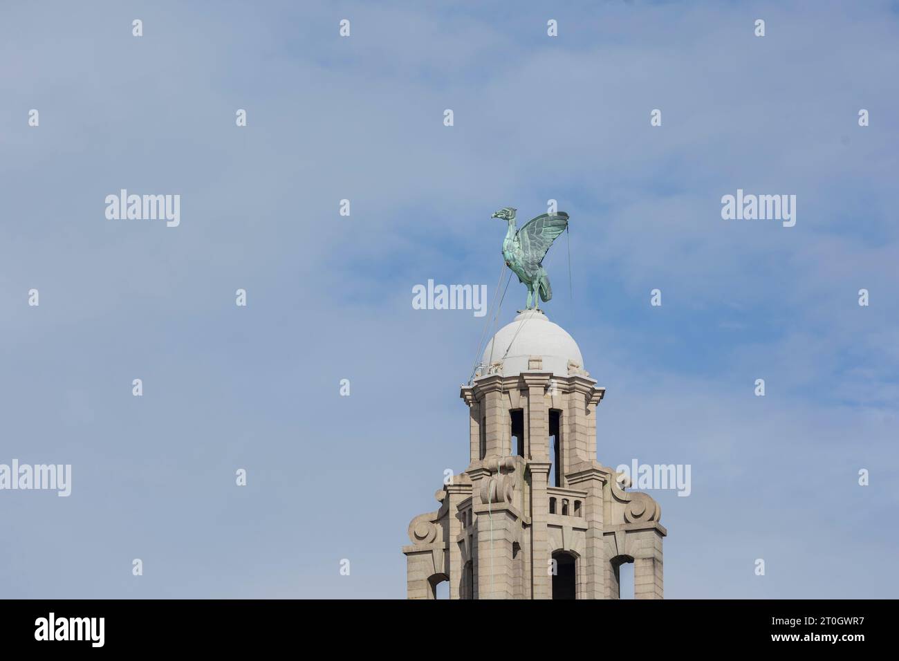 Eine Liver Bird Statue auf dem Royal Liver Building in Liverpool. Liverpool, vereinigtes Königreich, 16. Mai 2023 Stockfoto