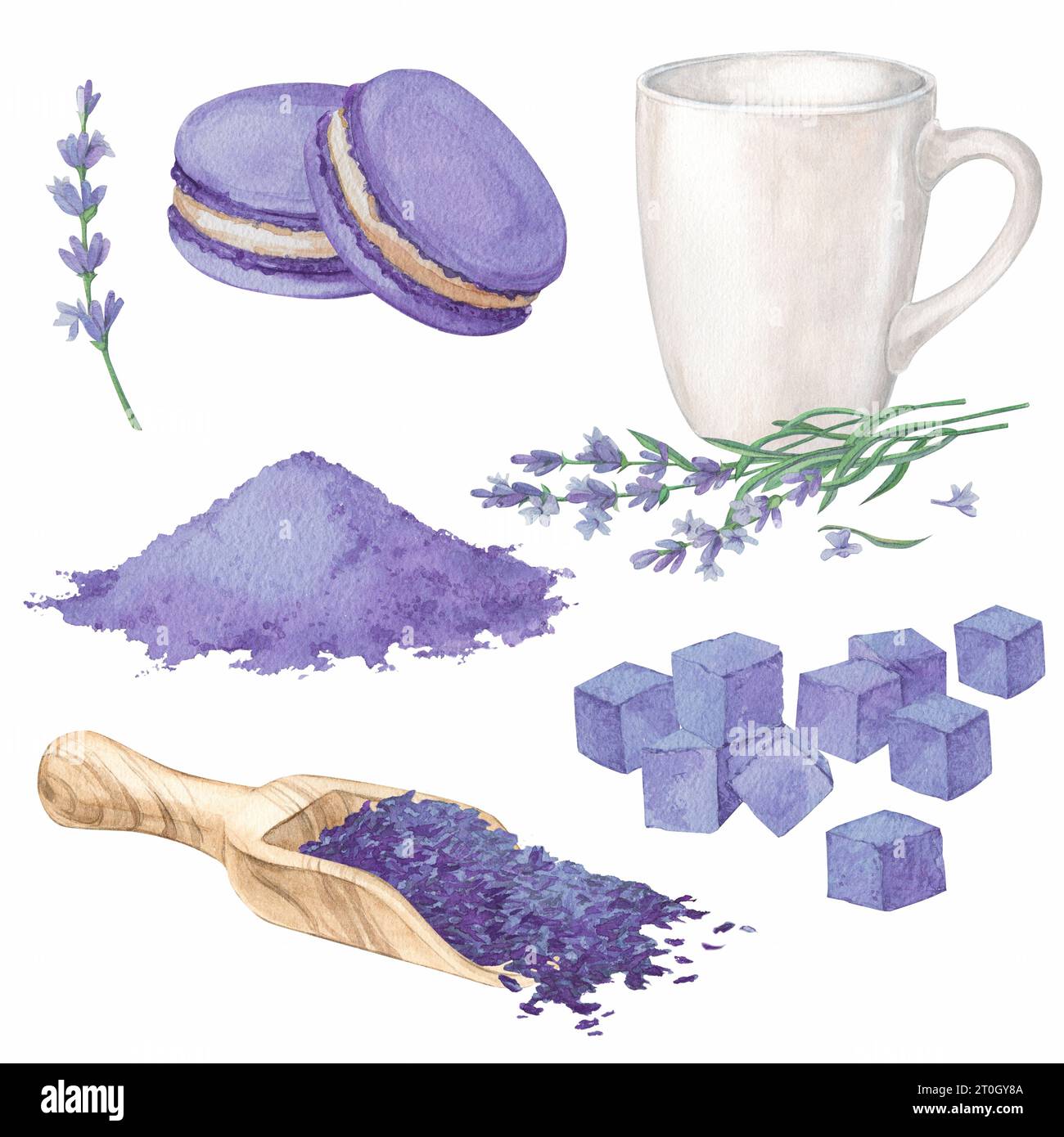 Lavendelzucker und Makronen. Köstliche Desserts mit Lavendelblüten. Weißer Becher, Holzlöffel. Aquarellillustration in der Provence St. Stockfoto