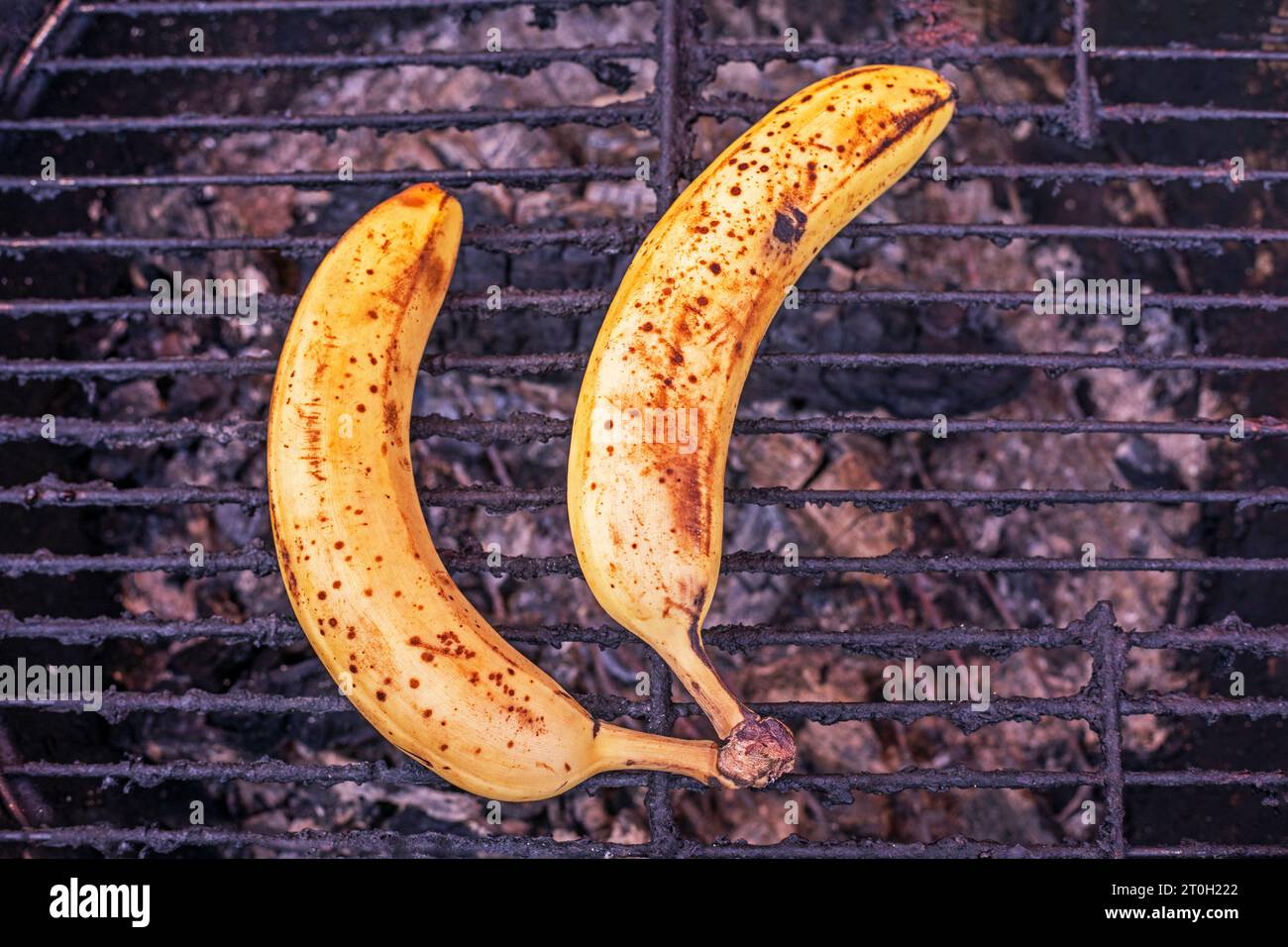 Zwei überreife Bananen auf gil-Gitter. Picknick Stockfoto