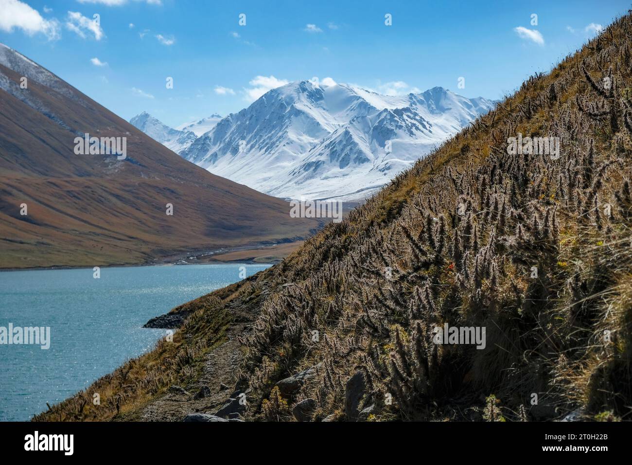 Blick auf den See Kol Ukok in der Region Naryn in der Nähe von Kochkor in Kirgisistan. Stockfoto