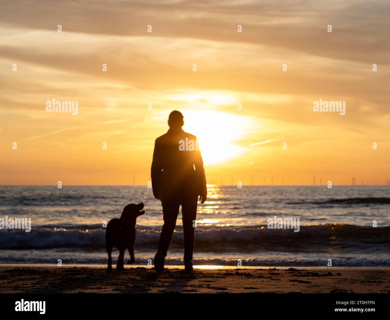 Silhouette eines schwarzen labrador-Retrievers mit ihrem Besitzer, der den Sonnenuntergang beobachtet Stockfoto