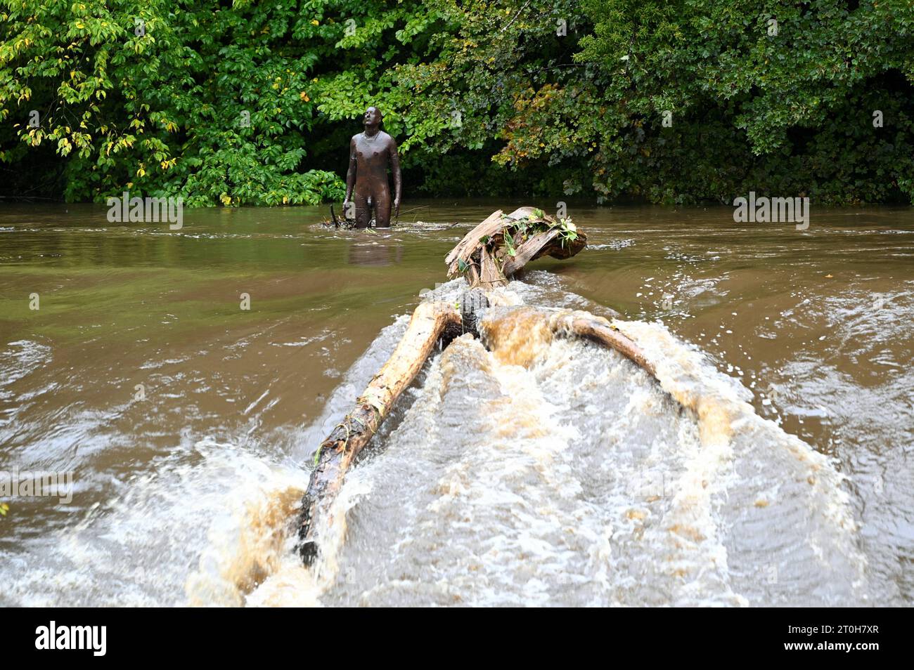 Edinburgh, Schottland, Großbritannien. Oktober 2023. Starke anhaltende Regenfälle über Nacht führen zu örtlich begrenzten Überschwemmungen rund um das Wasser von Leith und im Stadtzentrum. Antony Gormley Statue am Bells Weir im Hochwasser. Quelle: Craig Brown/Alamy Live News Stockfoto