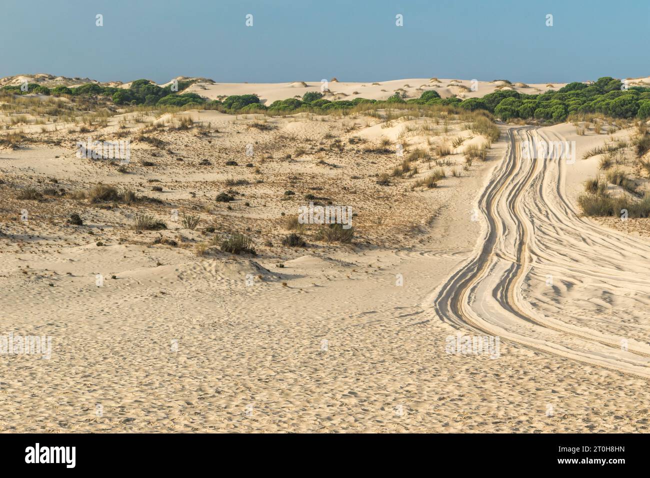 Blick auf die Landschaft im Coto Donana Nationalpark, Andalusien, Spanien Stockfoto