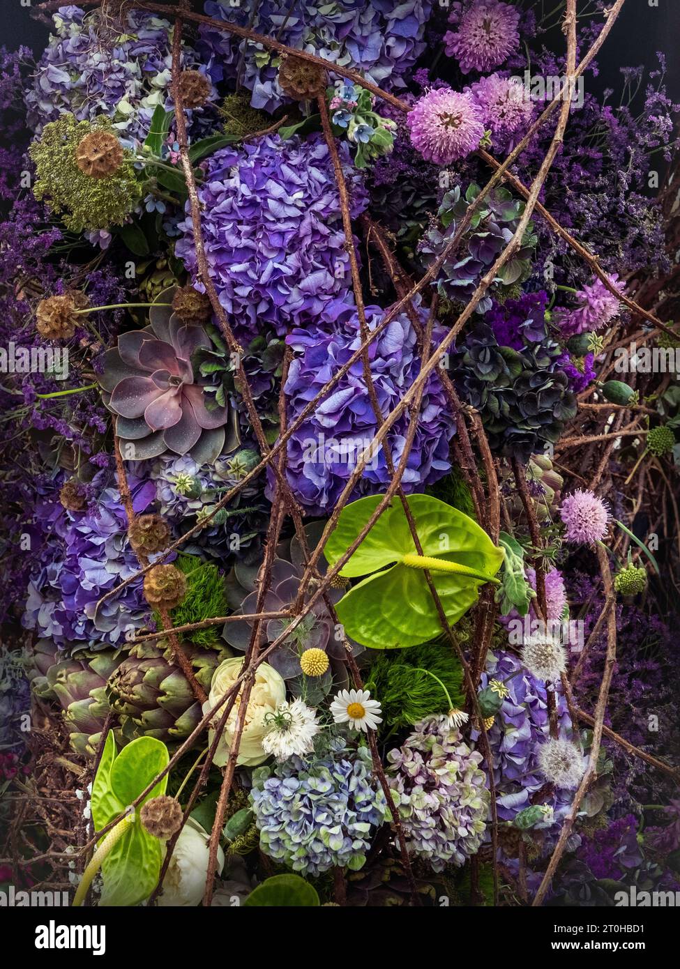 Blumenaufführungen im großen Pavillon der Chelsea Flower Show 2023 in London, Großbritannien. Stockfoto