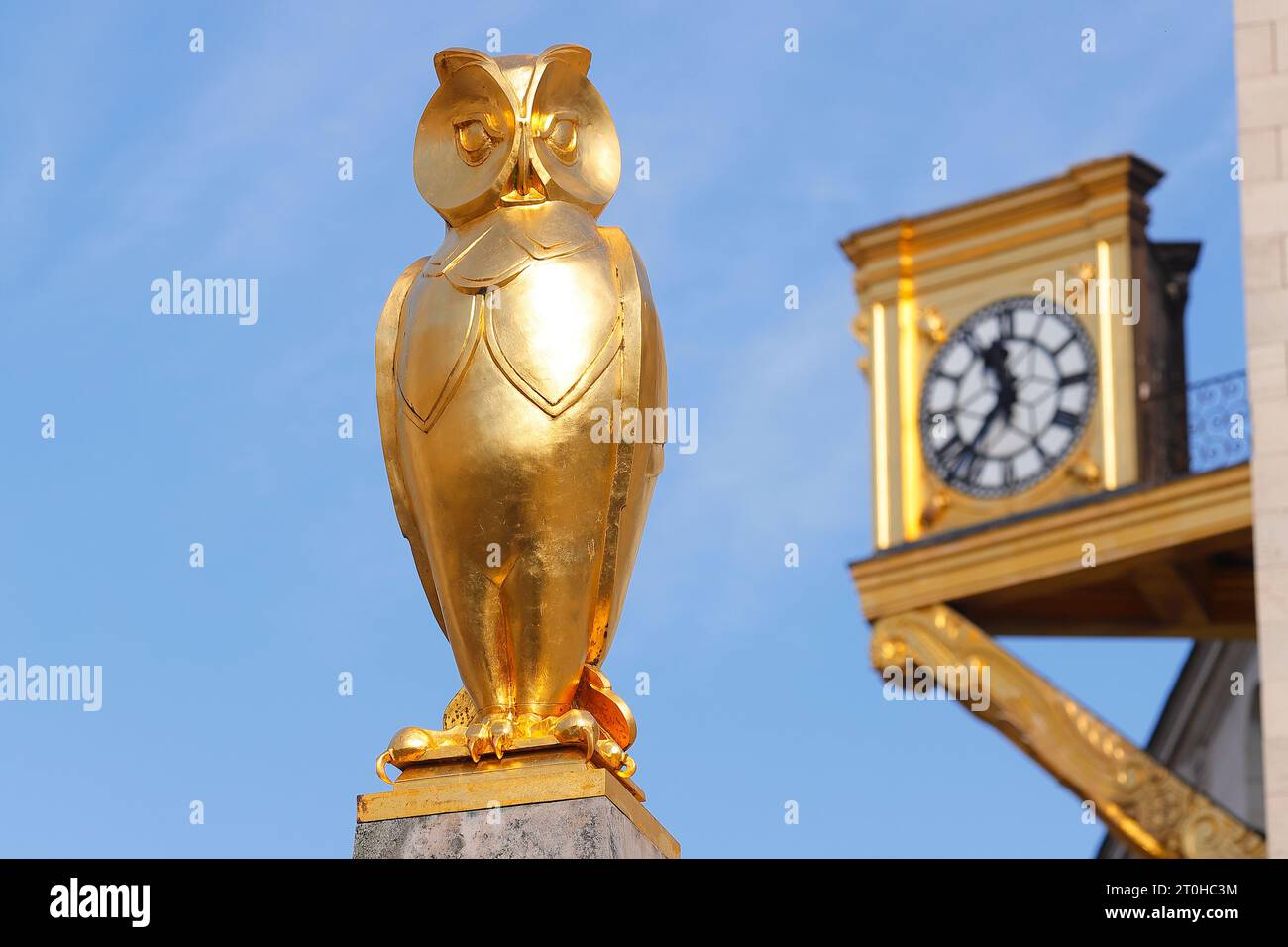 Leeds Civic Hall Golden Owl Stockfoto