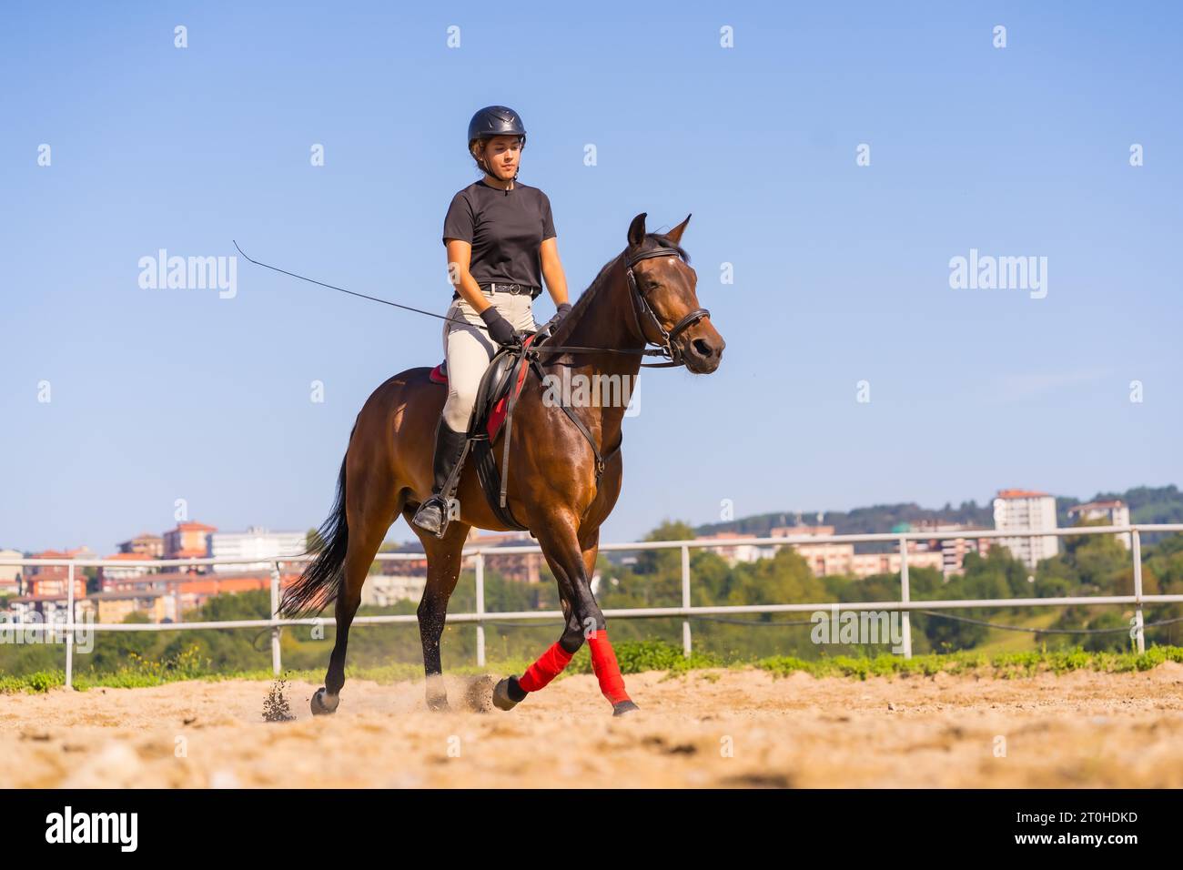 Junge kaukasische Blonde, die auf einem Pferd reitet, mit einem braunen Pferd, gekleidet mit schwarzem Reiter mit Schutzkappe Stockfoto