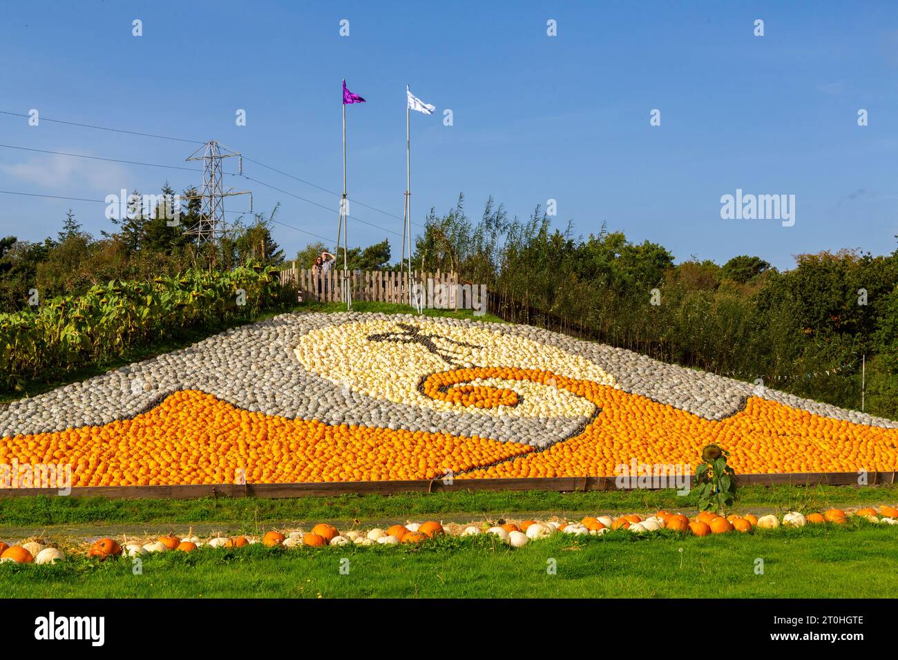 Totton, Hampshire, Großbritannien. Oktober 2023. Tausende von Menschen besuchen die Sunnyfields Farm in Totton, Hampshire an einem warmen, sonnigen Tag, um schaurige Abenteuer und fangtastische Darbietungen zur Kürbis-Zeit zu erleben, während Halloween näher rückt, einschließlich eines Albtraums vor Weihnachten, um das 30-jährige Jubiläum des Films zu feiern. Quelle: Carolyn Jenkins / Alamy Live News Stockfoto