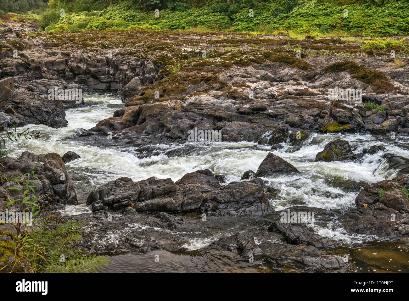 Nehalem Falls, vulkanisches Basaltgestein am Nehalem River, in der Nähe des Campingplatzes Nehalem Falls, Tillamook State Forest, Oregon, USA Stockfoto