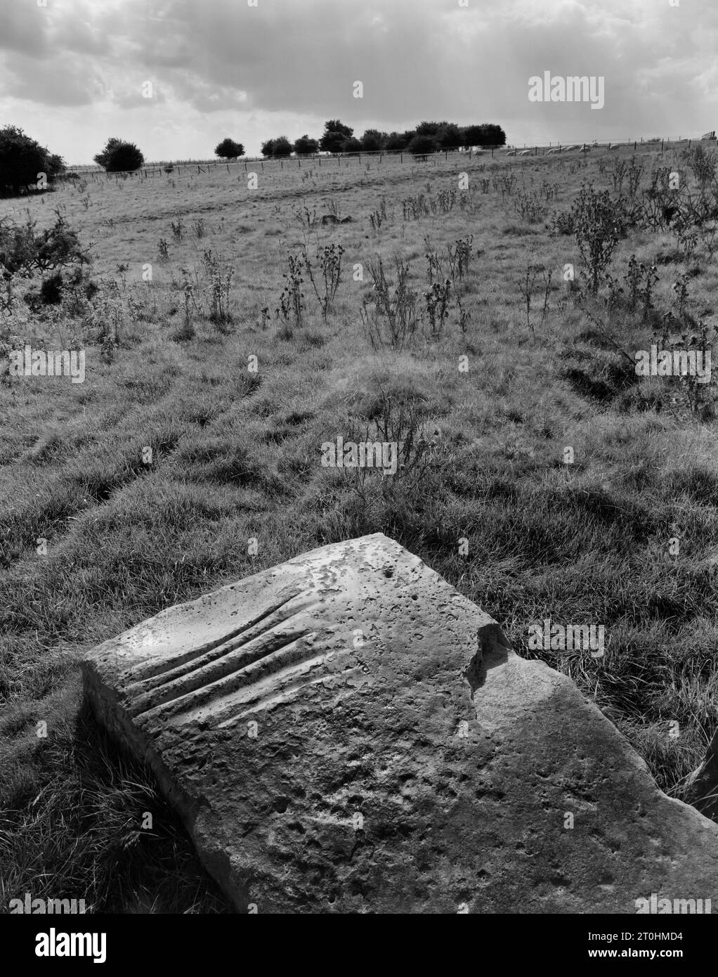Sehen Sie SSW eines Sarsensteins in Totterdown auf Overton Down, in der Nähe von Avebury, England, Großbritannien, der zur Formgebung verwendet wurde. glätten und Schärfen neolithischer Steinachsen. Stockfoto
