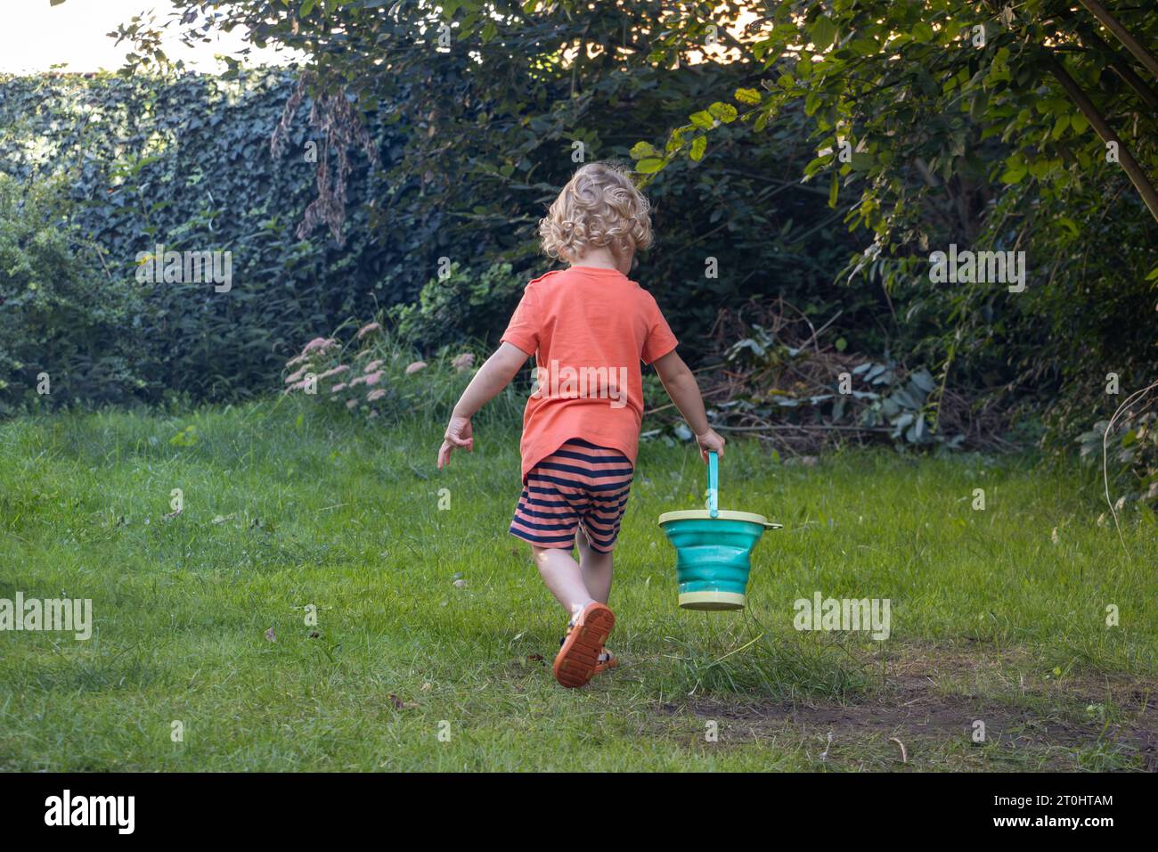 Ein kleiner Junge trägt einen Eimer Wasser im Garten Stockfoto
