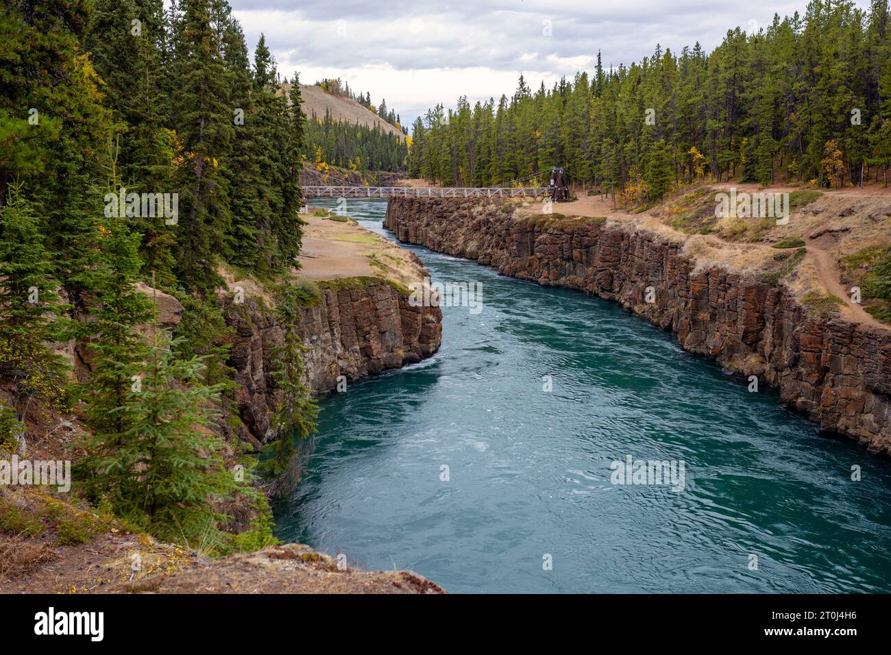 Wunderschöne Landschaft mit Blick auf den Yukon River, der durch den Miles Canyon in der Nähe von Whitehorse, Yukon, Kanada fließt. Stockfoto