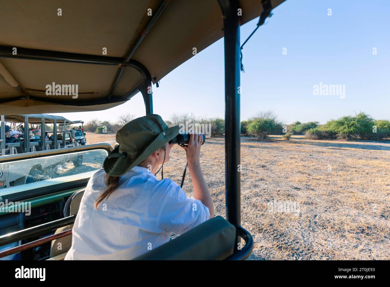 Eine Frau, die durch das Fernglas schaut. Reise- und Safarikonzept Stockfoto