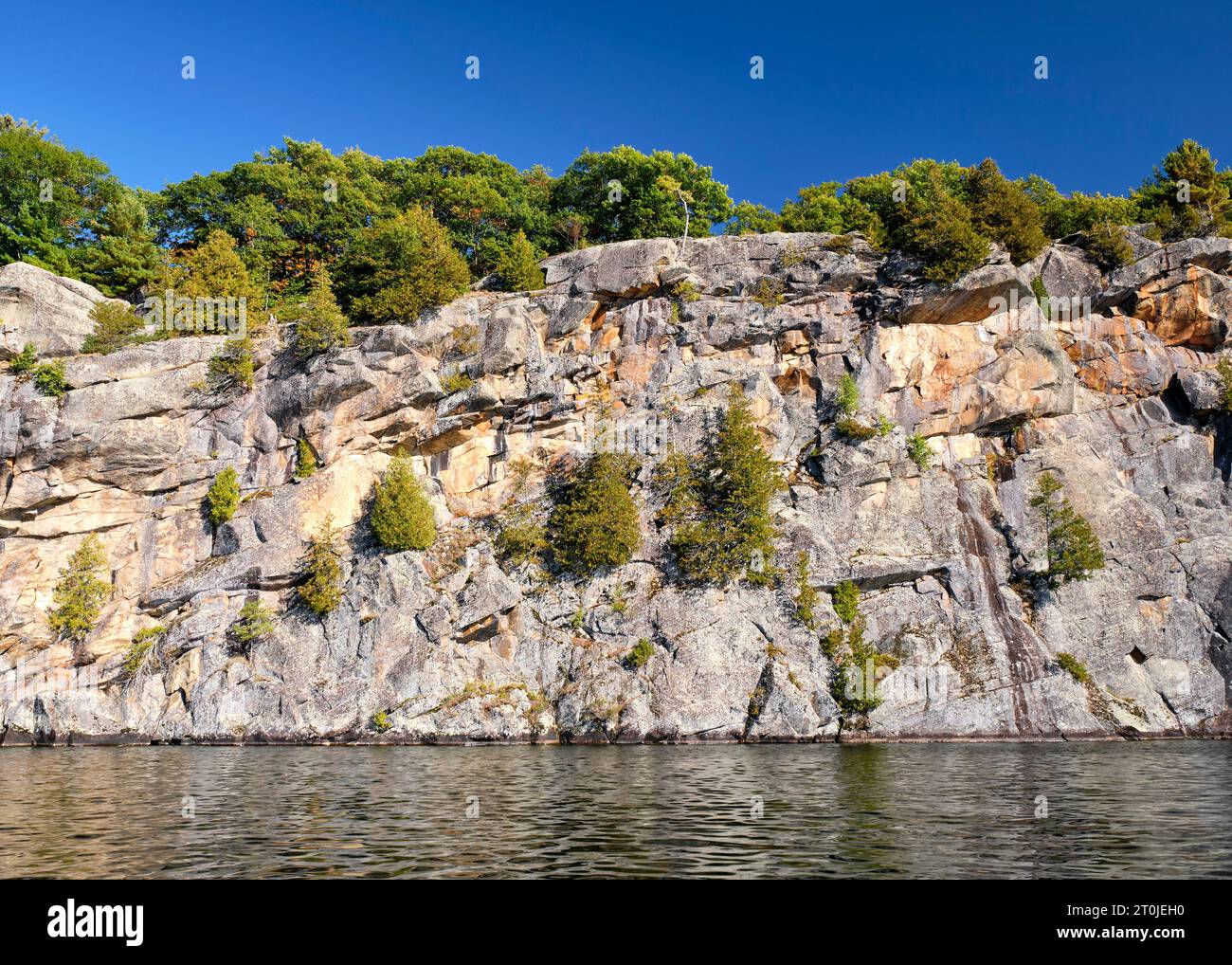 Eine riesige Felsklippe aus Granit mit Bäumen, die an der Seite wachsen, erhebt sich direkt aus dem Wasser des Skeleton Lake in Muskoka, Ontario. Stockfoto