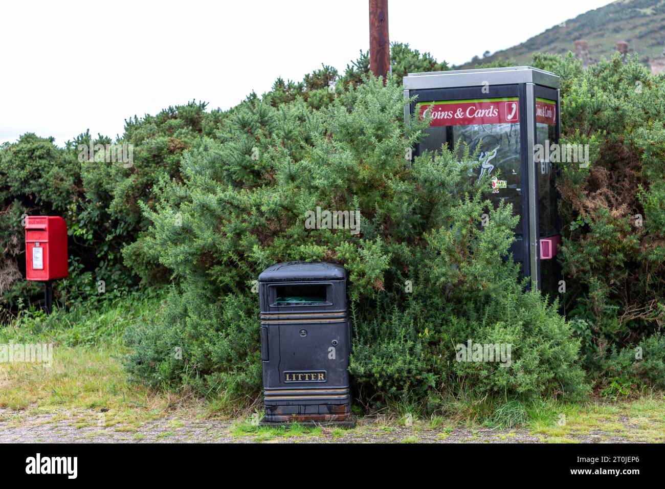 Moderne Telefonbox, die mit Ginster umgeben ist, mit einer Notiz, die wir über das Entfernen dieses Münztelefons in Lochranza, Isle of Arran, Schottland, Großbritannien nachdenken Stockfoto