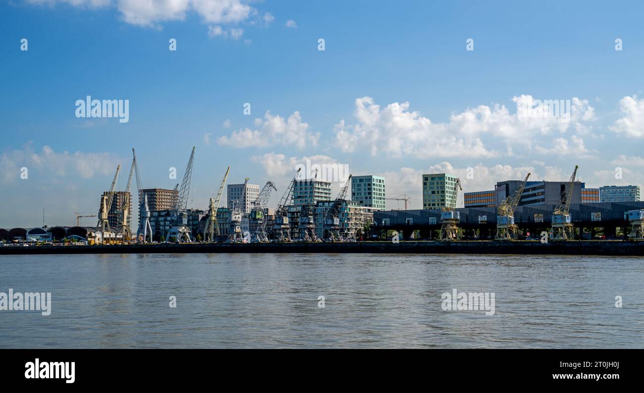 Skyline von Antwerpen, Belgien vom Fluss Schelde aus gesehen Stockfoto