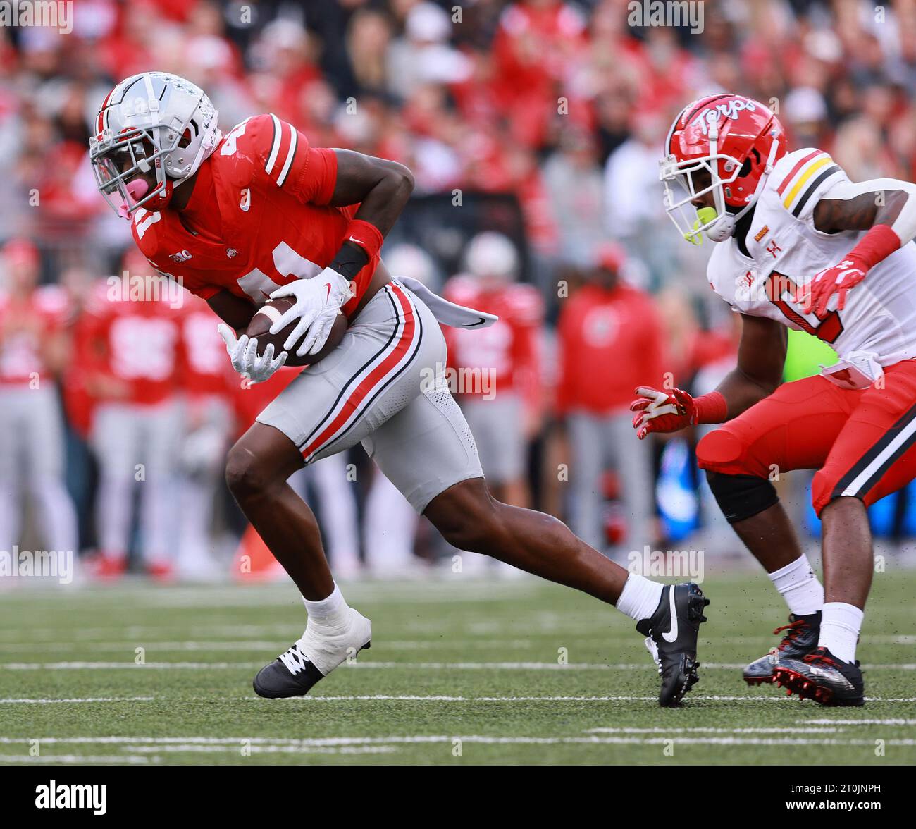 Columbus, Usa. Oktober 2023. Ohio State Buckeyes Josh Procter (41) fängt am Samstag, den 7. Oktober 2023 in Columbus (Ohio) einen Pass ab, der für Maryland Terrapins Tyrese Chambers (0) vorgesehen ist. Foto: Aaron Josefczyk/UPI Credit: UPI/Alamy Live News Stockfoto