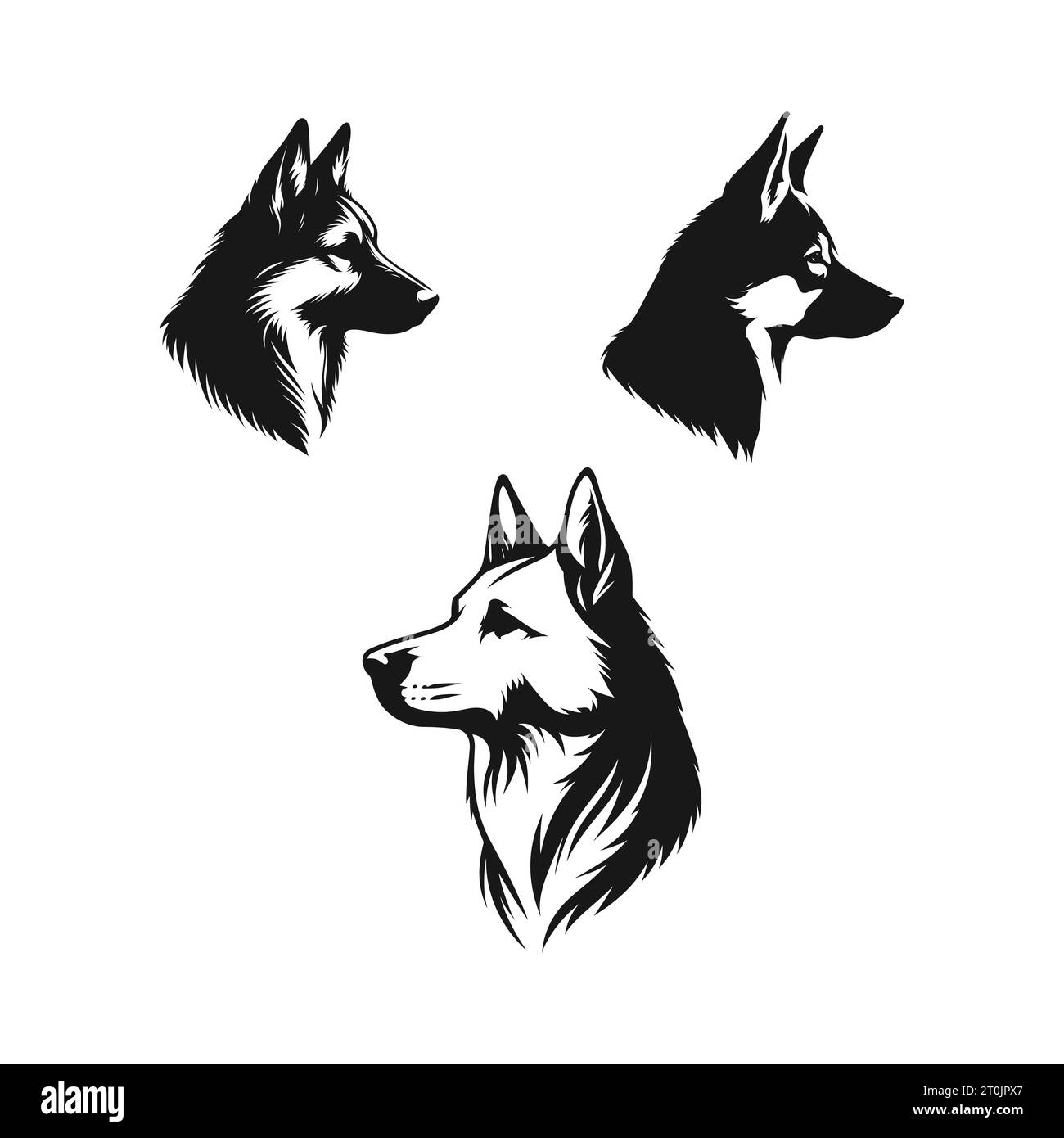Vektorsilhouette eines Husky-Hundekopfes auf weißem Hintergrund Stock Vektor