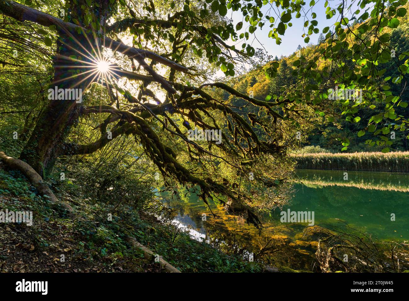 Das Doubs in der Nähe von Le Theusseret in der Nähe von Saignelégier und Gumois Stockfoto