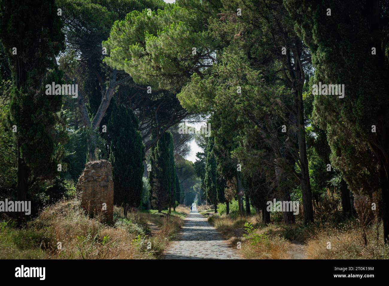 Alte Römerstraße in Italien, genannt Appianischer Weg. Die wichtigsten antiken römischen Straßen wurden gebaut, um Truppen zu versorgen Stockfoto