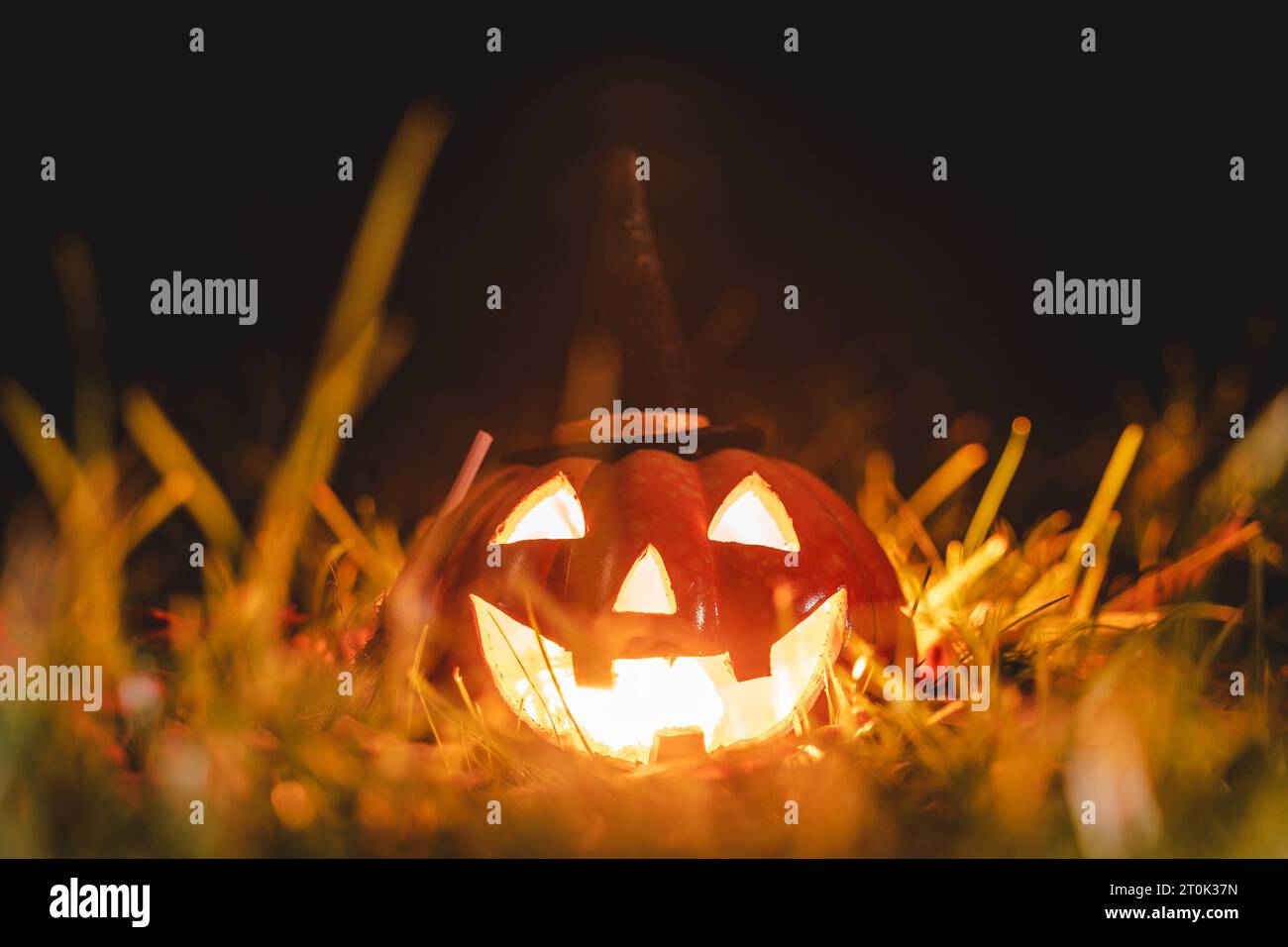 Augsburg, Bayern, Deutschland. Oktober 2023. Glühender Halloween Kürbis mit Hexenhut in der Nacht. Gruseliger Kürbis *** Leuchtender Halloween Kürbis mit Hexenhut bei Nacht. Gruseliger Kürbis Credit: Imago/Alamy Live News Stockfoto