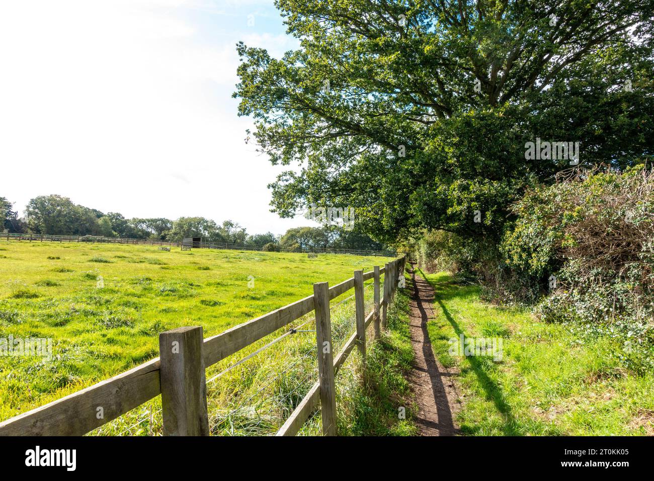 Gehen Sie einen Landweg entlang, vorbei an einem Feld, das mit einem Holzzaun eingezäunt ist Stockfoto