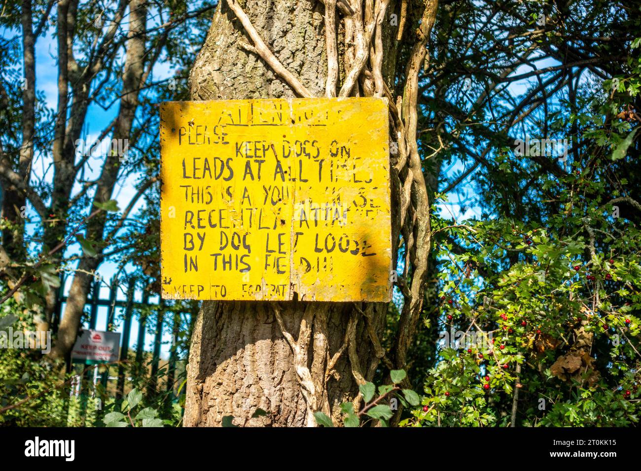 Ein selbstgemachtes gelbes Schild hängt von einem Baum neben einem öffentlichen Fußweg, der Leute bittet, Hunde an der Leitung zu halten. Stockfoto