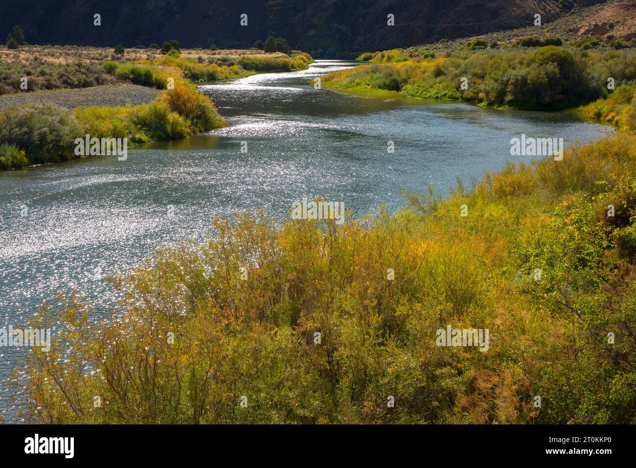 John Day Wild and Scenic River vom Hard Stone Trail, Cottonwood Canyon State Park, Oregon Stockfoto