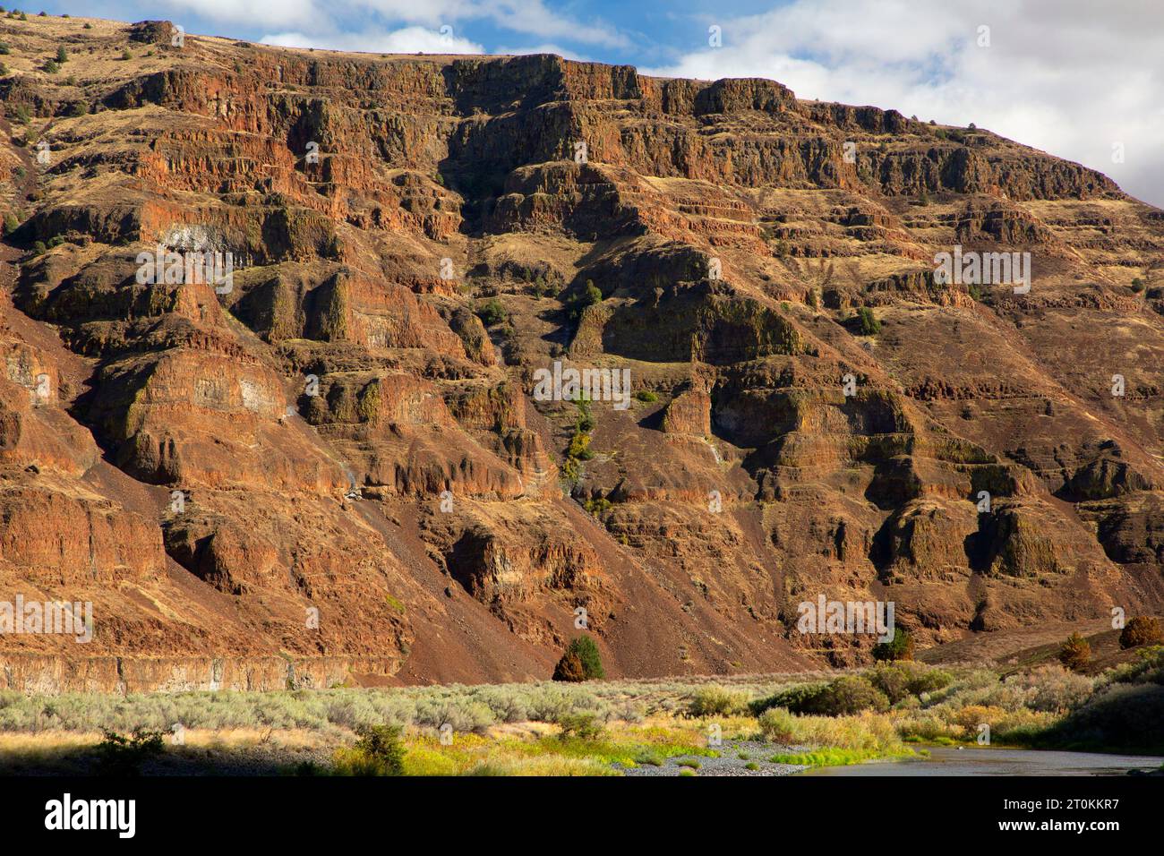 John Day Wild und Scenic River Canyon vom Hard Stone Trail, Cottonwood Canyon State Park, Oregon Stockfoto