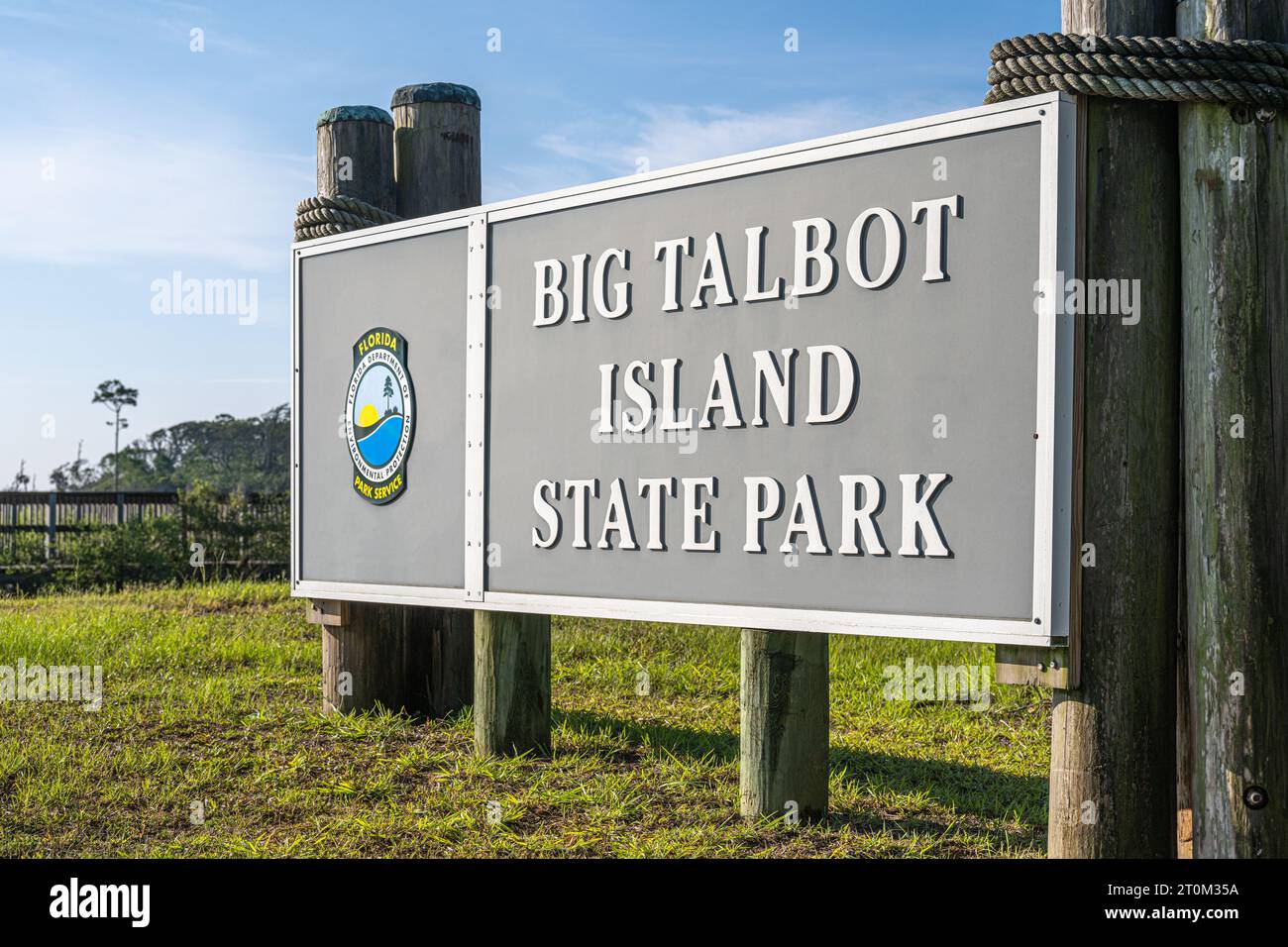 Big Talbot Island State Park, südlich von Amelia Island im Nordosten Floridas. (USA) Stockfoto