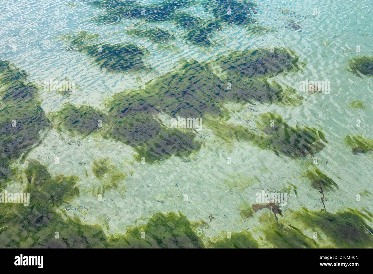 Flaches, kristallklares Wasser des Teän Sound am Lower Town Beach, St. Martin's, Isles of Scilly, Großbritannien Stockfoto Flaches, kristallklares Wasser des Teän Sound am Lower Town Beach, St. Martin's, Isles of Scilly, Großbritannien Stockfoto