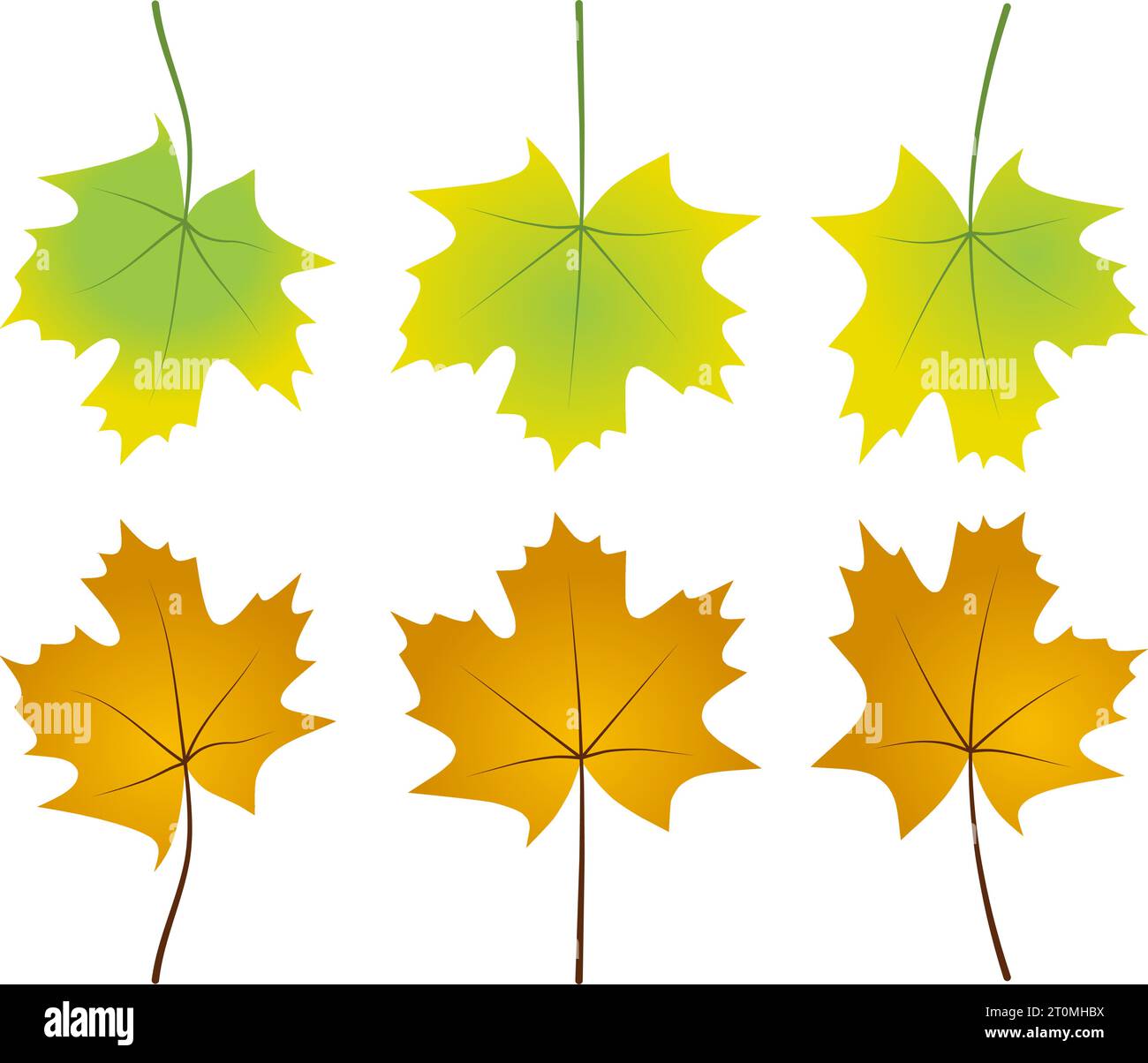 Grafik illustriert Herbstahornblätter Laub gefallene Grafik illustrierte Farben Gold-Orange-Grün Stock Vektor