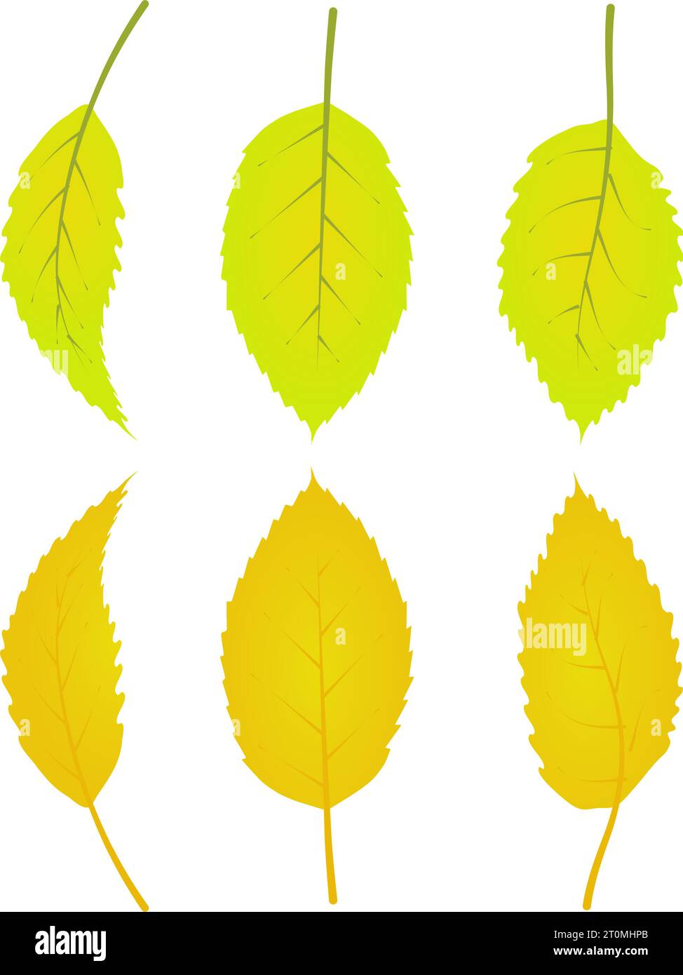 Grafik Illustrated Herbstblätter Laub gefallene Grafik Illustrationen Farben Goldgelb Stock Vektor